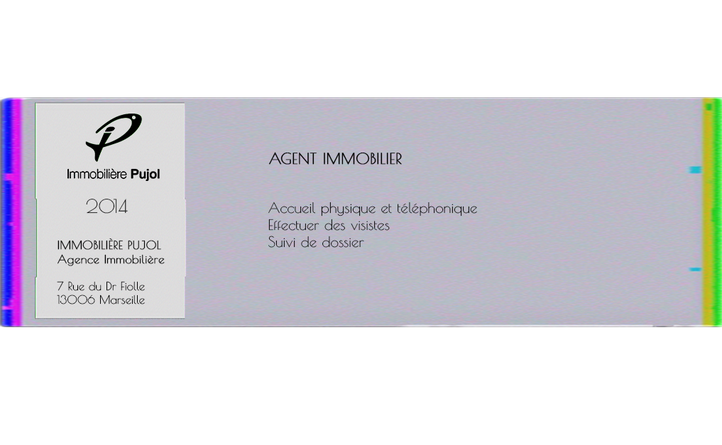 experiences agence pujol immobilier